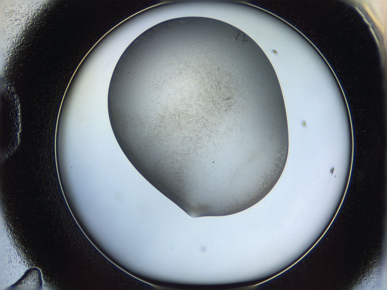 06iy_D11_ImagerDefaults_6.jpg