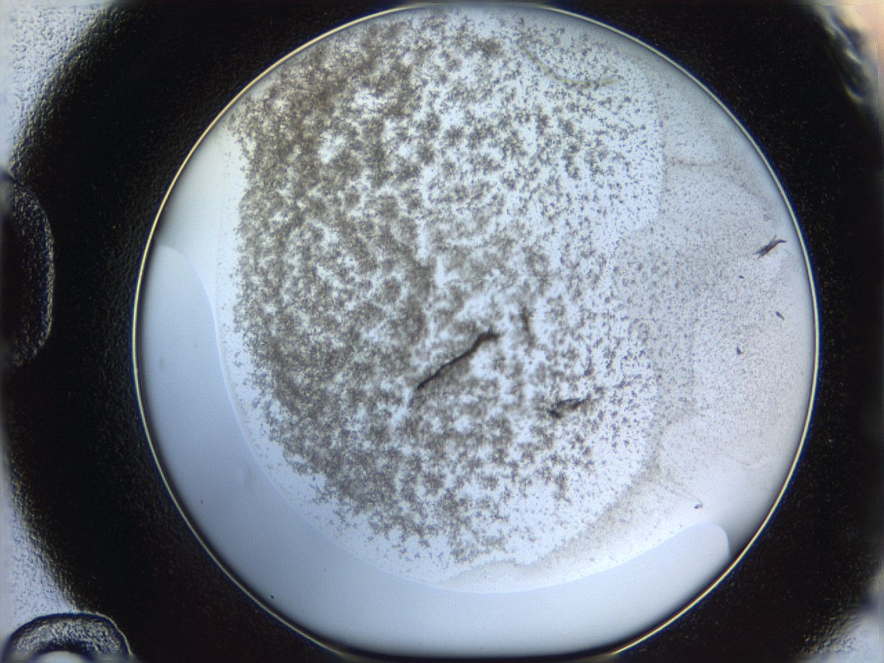 06iy_D12_ImagerDefaults_2.jpg