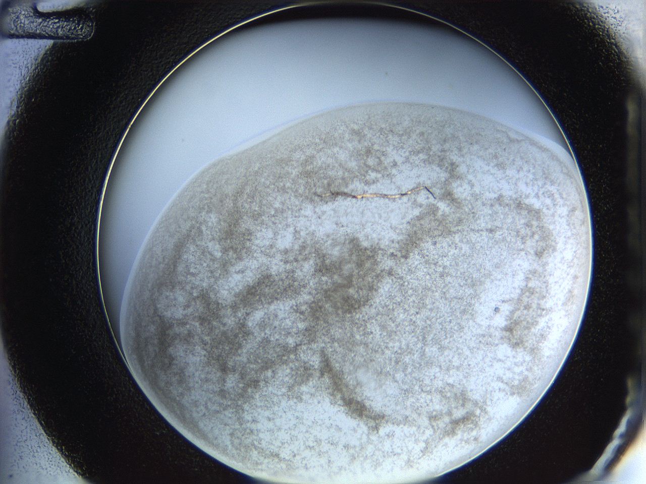 06iy_D12_ImagerDefaults_3.jpg