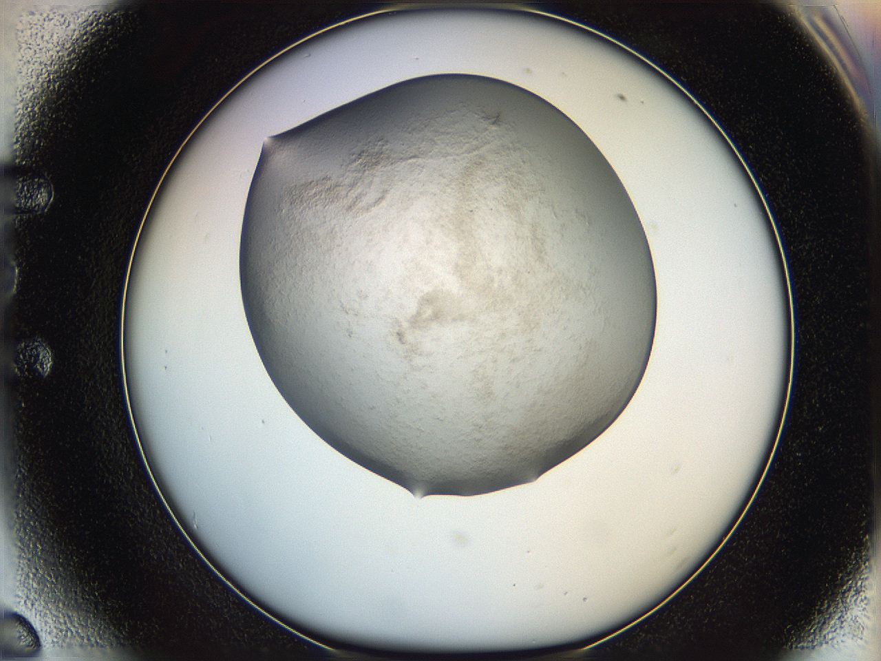 06iy_E6_ImagerDefaults_3.jpg