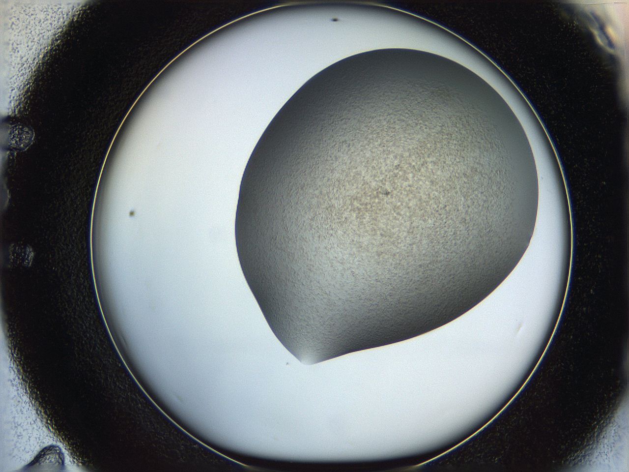 06iy_E11_ImagerDefaults_2.jpg