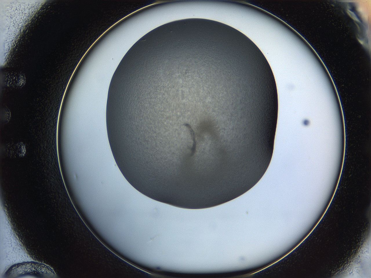 06iy_E12_ImagerDefaults_2.jpg