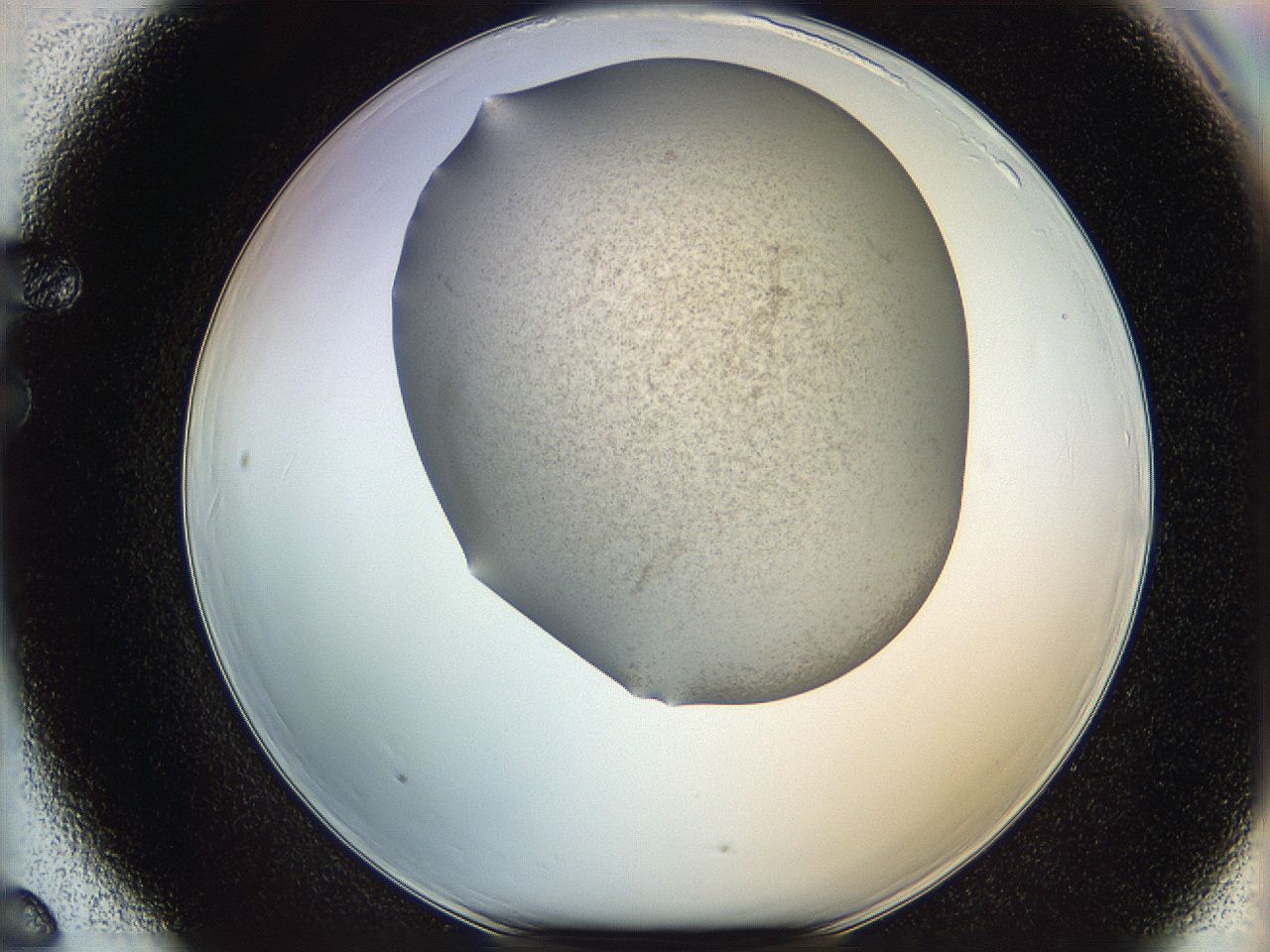 06iy_F6_ImagerDefaults_2.jpg