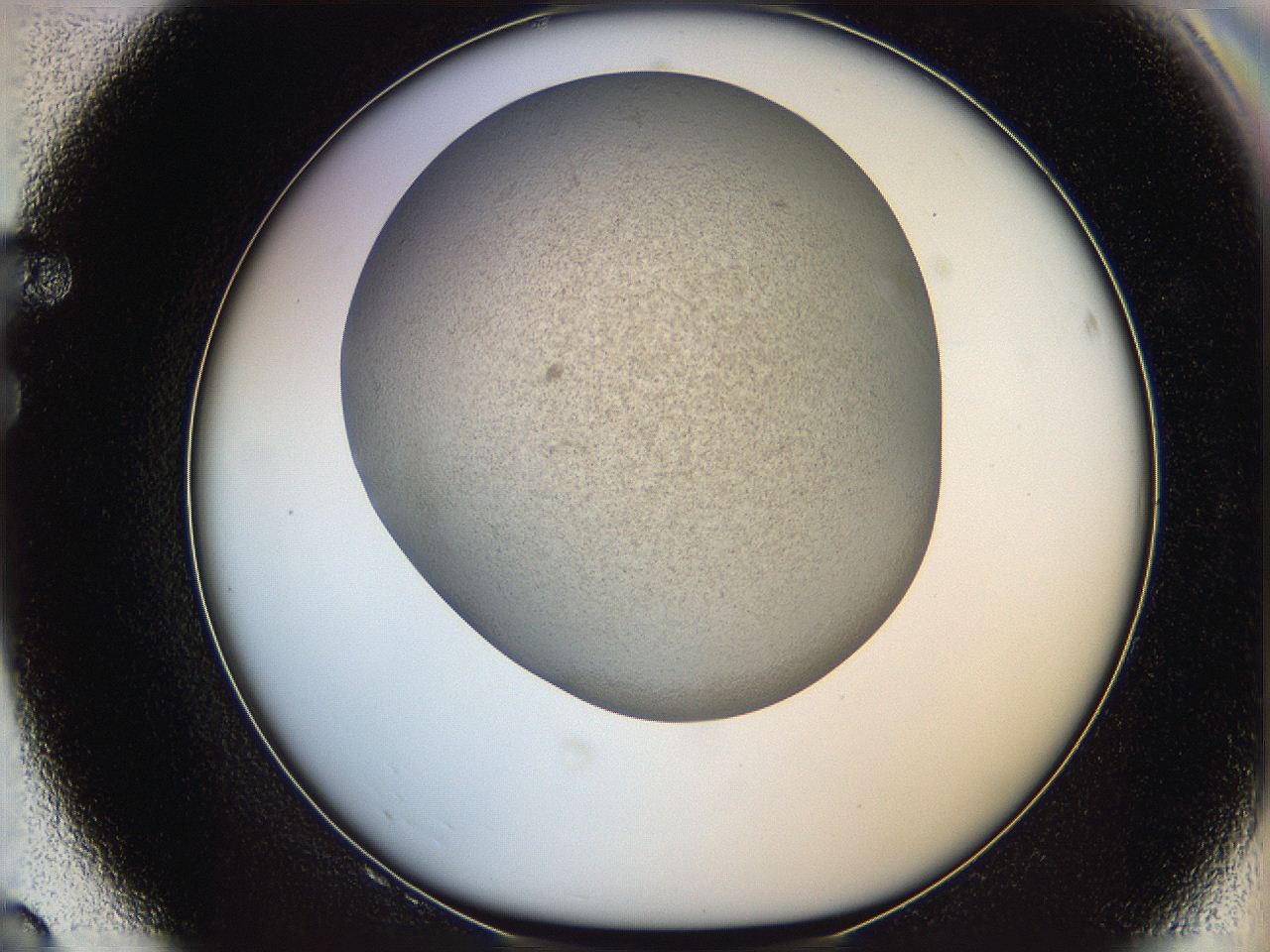 06iy_F8_ImagerDefaults_2.jpg