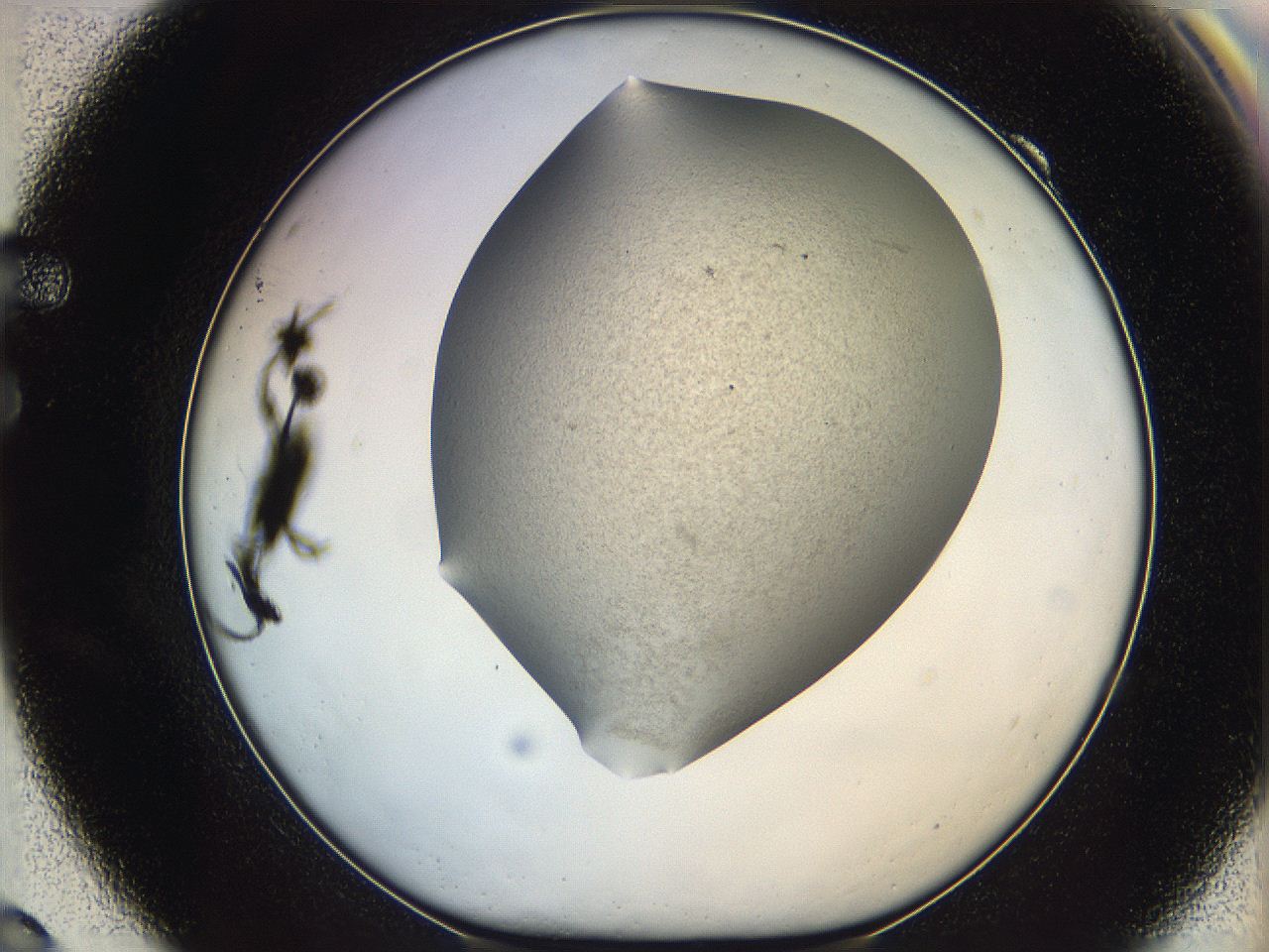 06iy_F9_ImagerDefaults_2.jpg