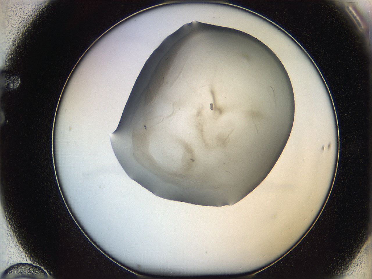 06iy_F10_ImagerDefaults_3.jpg