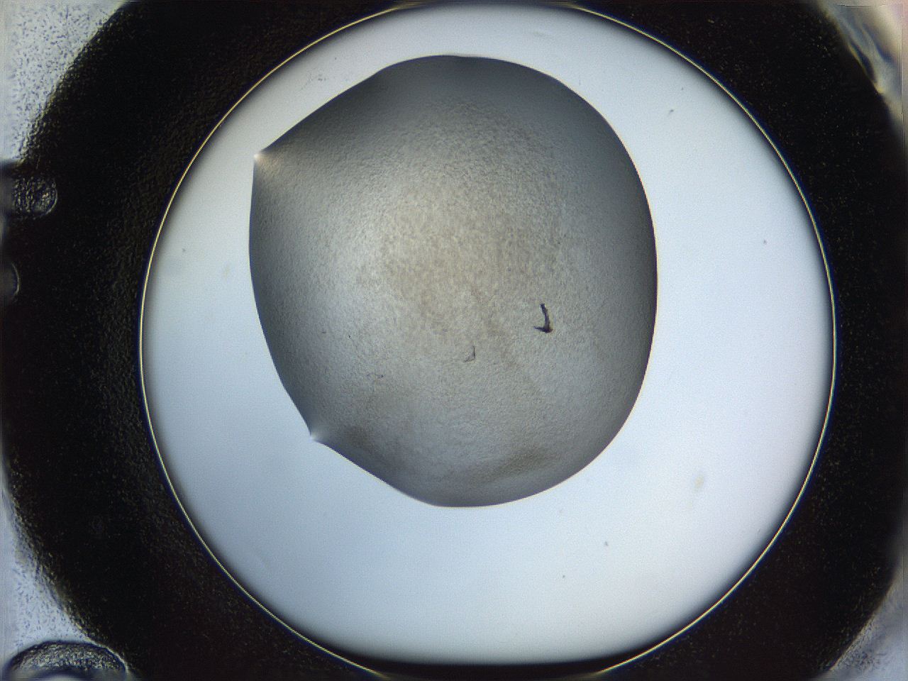06iy_F12_ImagerDefaults_3.jpg