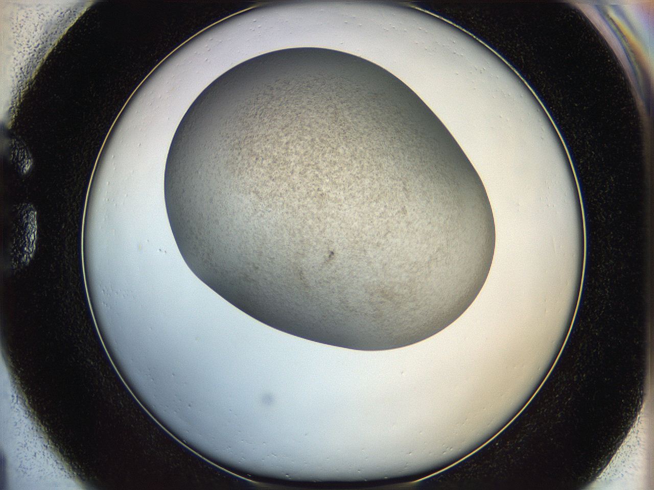 06iy_G1_ImagerDefaults_3.jpg