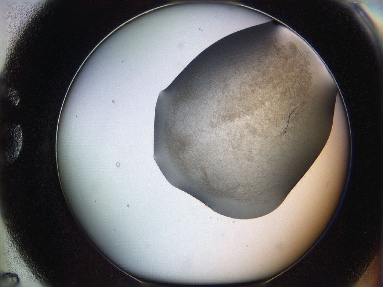 06iy_G7_ImagerDefaults_3.jpg