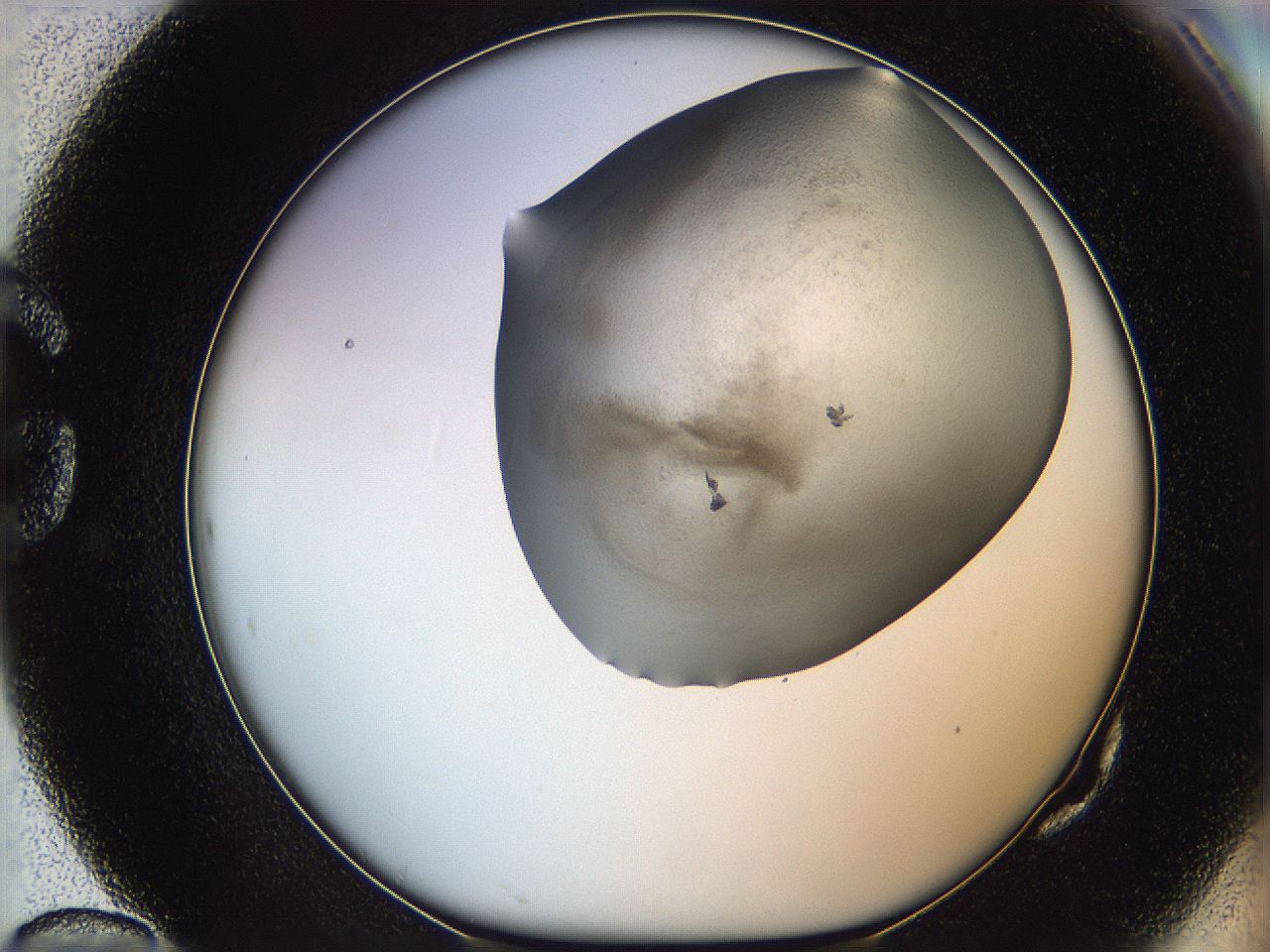 06iy_G10_ImagerDefaults_3.jpg