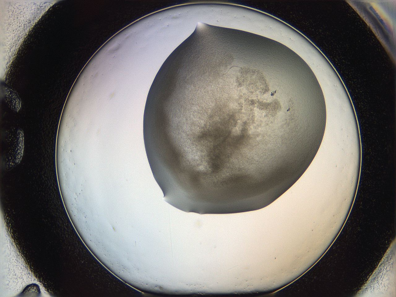 06iy_G11_ImagerDefaults_3.jpg