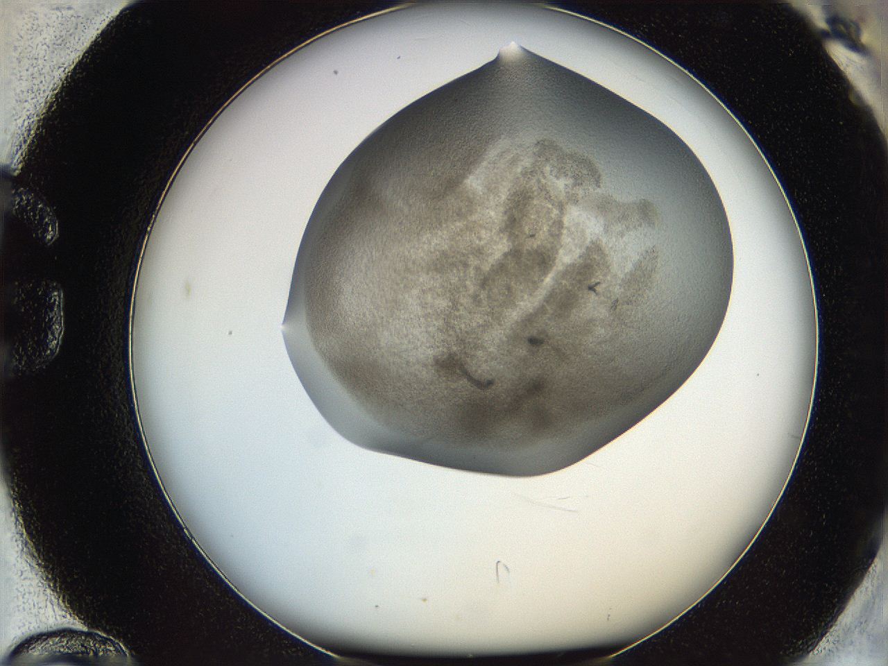 06iy_G12_ImagerDefaults_3.jpg