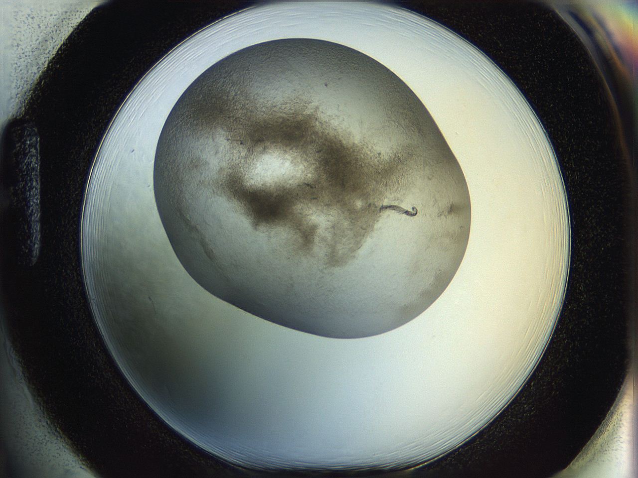 06iy_H1_ImagerDefaults_3.jpg