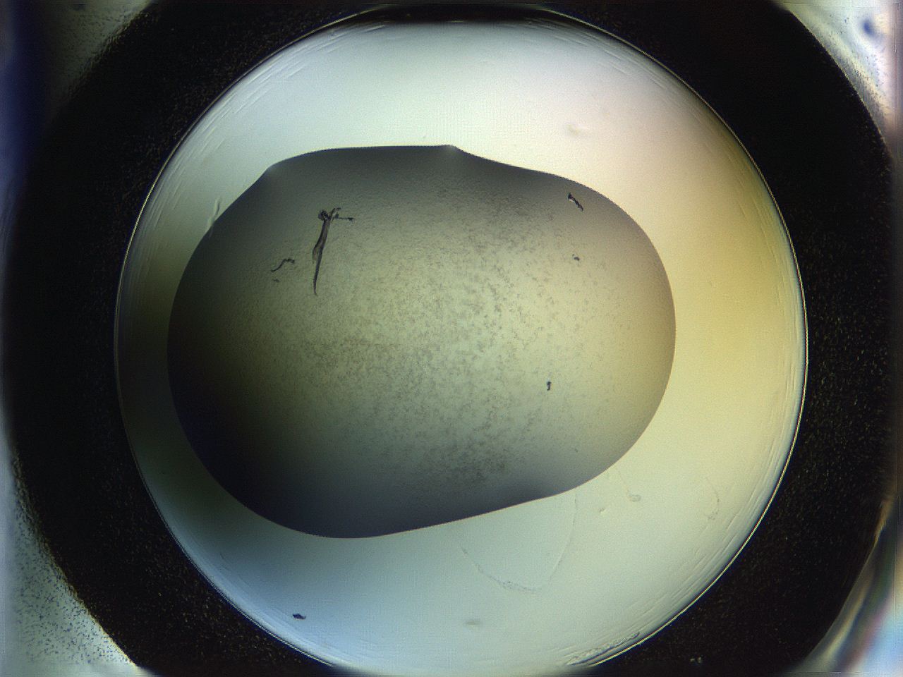06iy_H1_ImagerDefaults_2.jpg