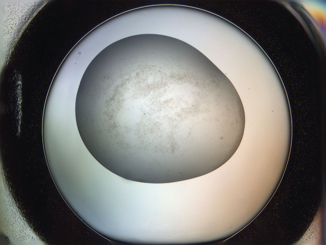 06iy_H4_ImagerDefaults_3.jpg