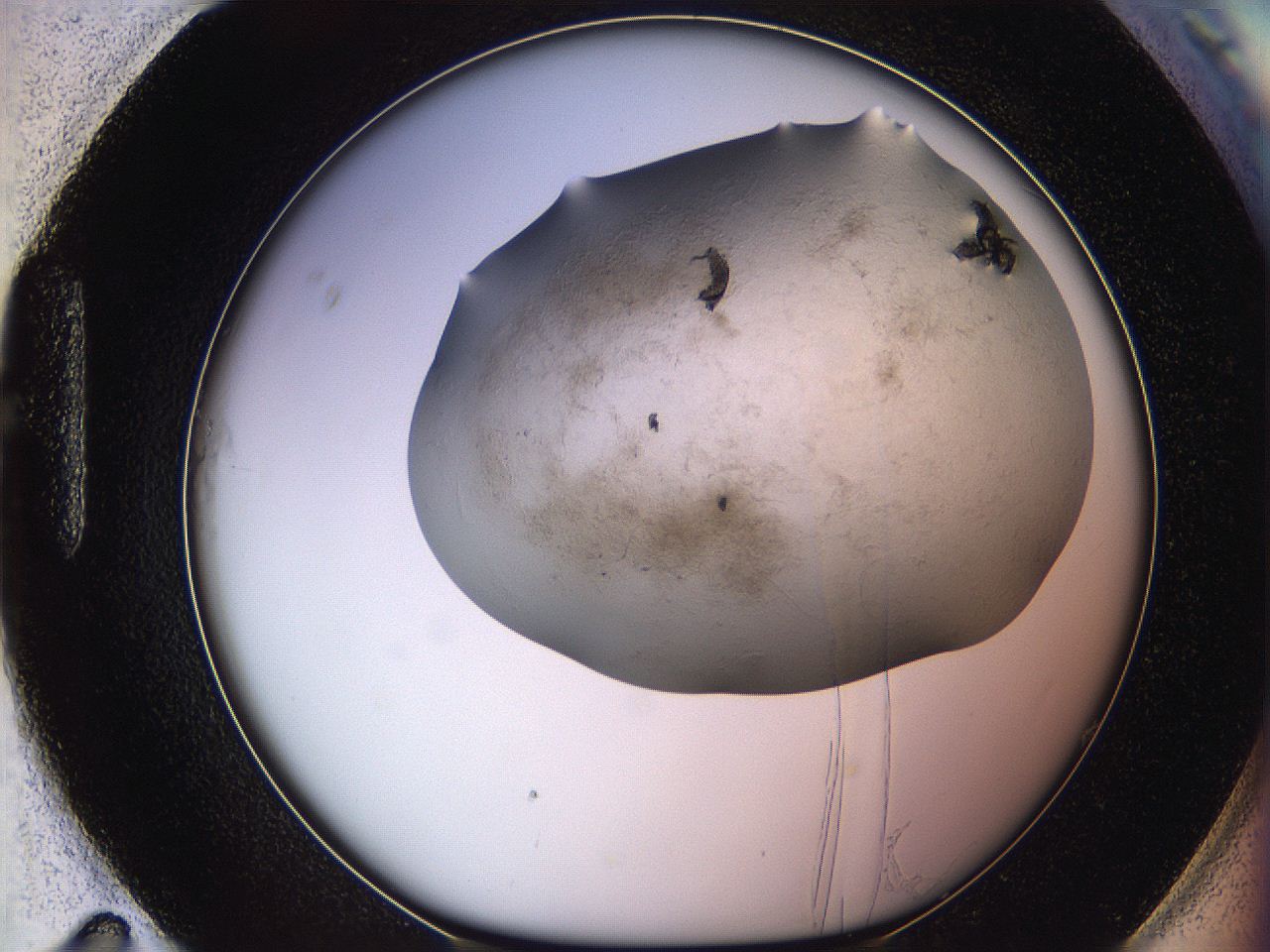 06iy_H11_ImagerDefaults_3.jpg