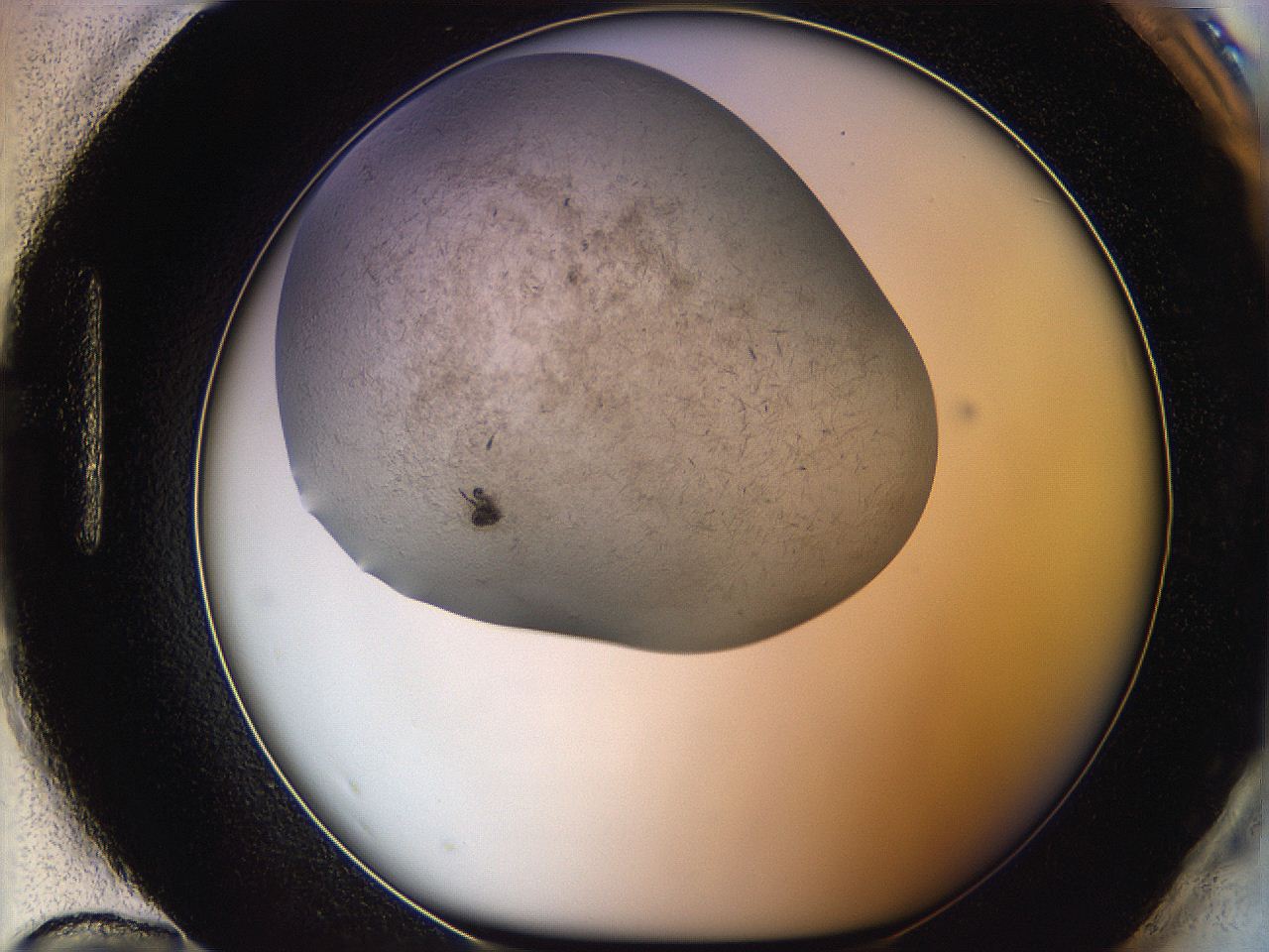 06iy_H12_ImagerDefaults_3.jpg