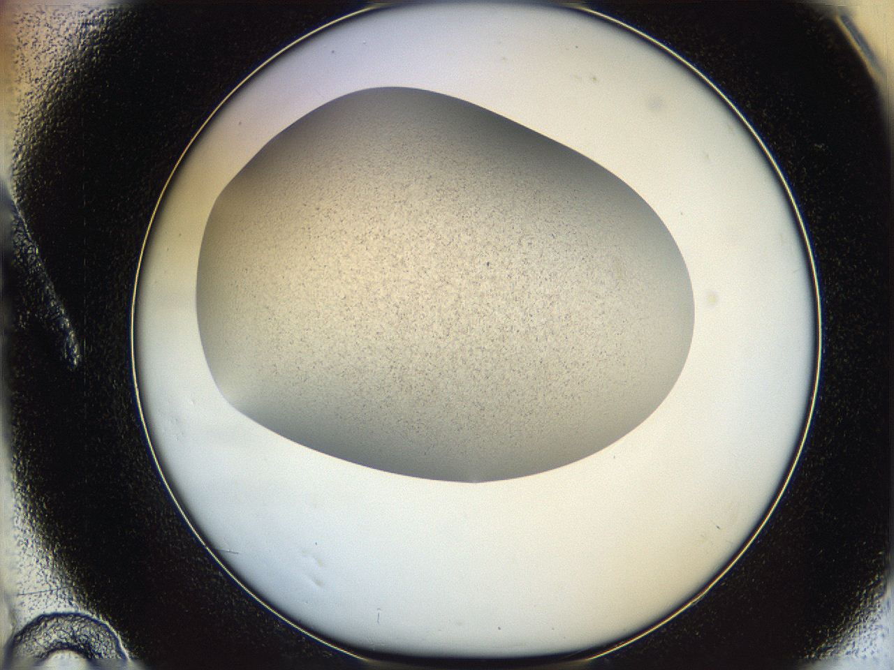 06iz_A10_ImagerDefaults_2.jpg