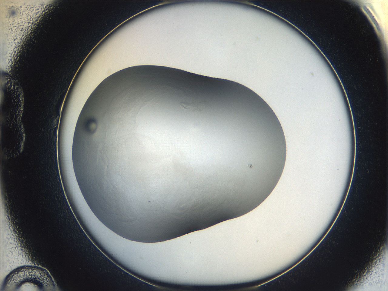 06iz_B10_ImagerDefaults_3.jpg