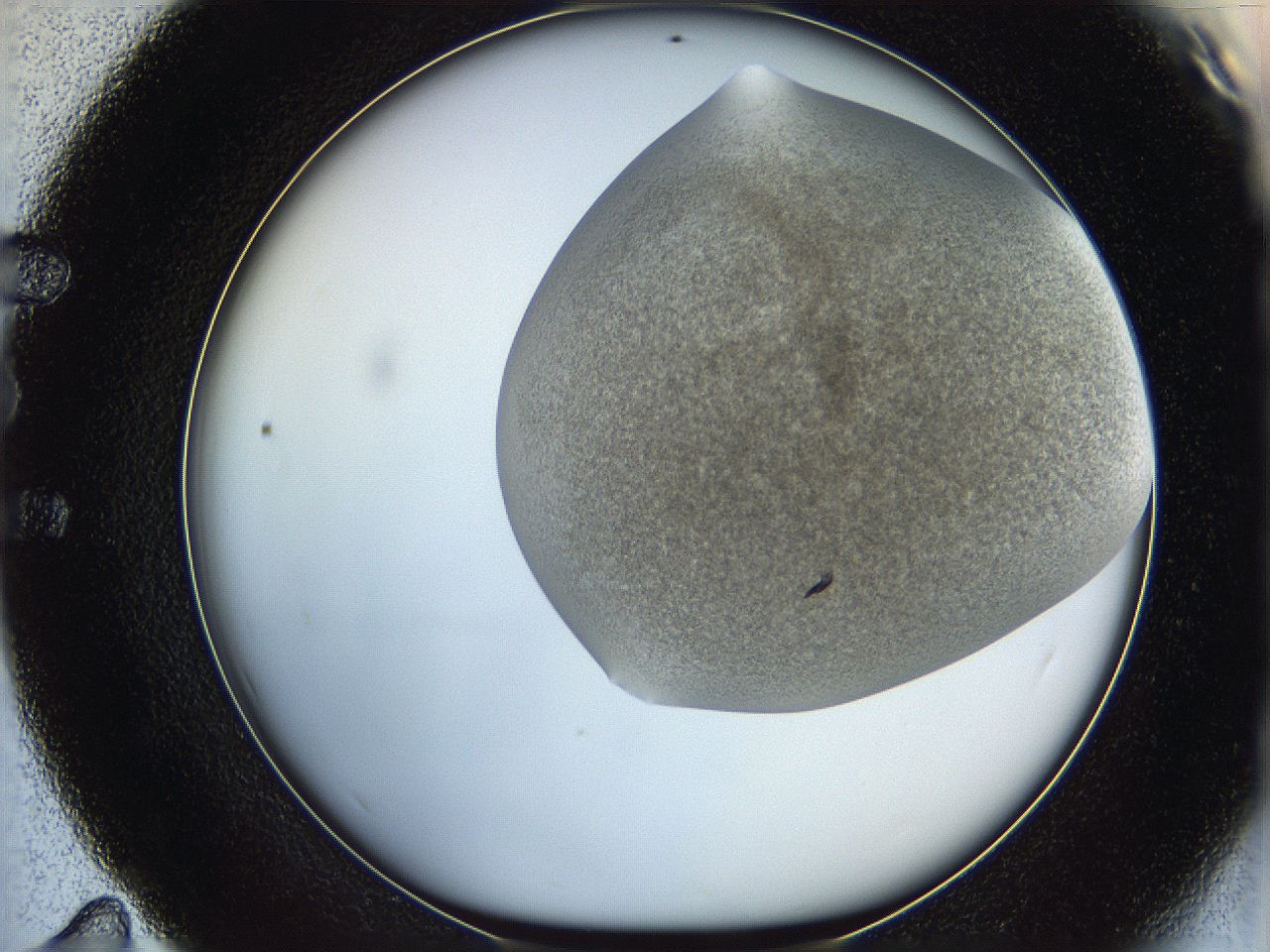 06iz_E11_ImagerDefaults_3.jpg