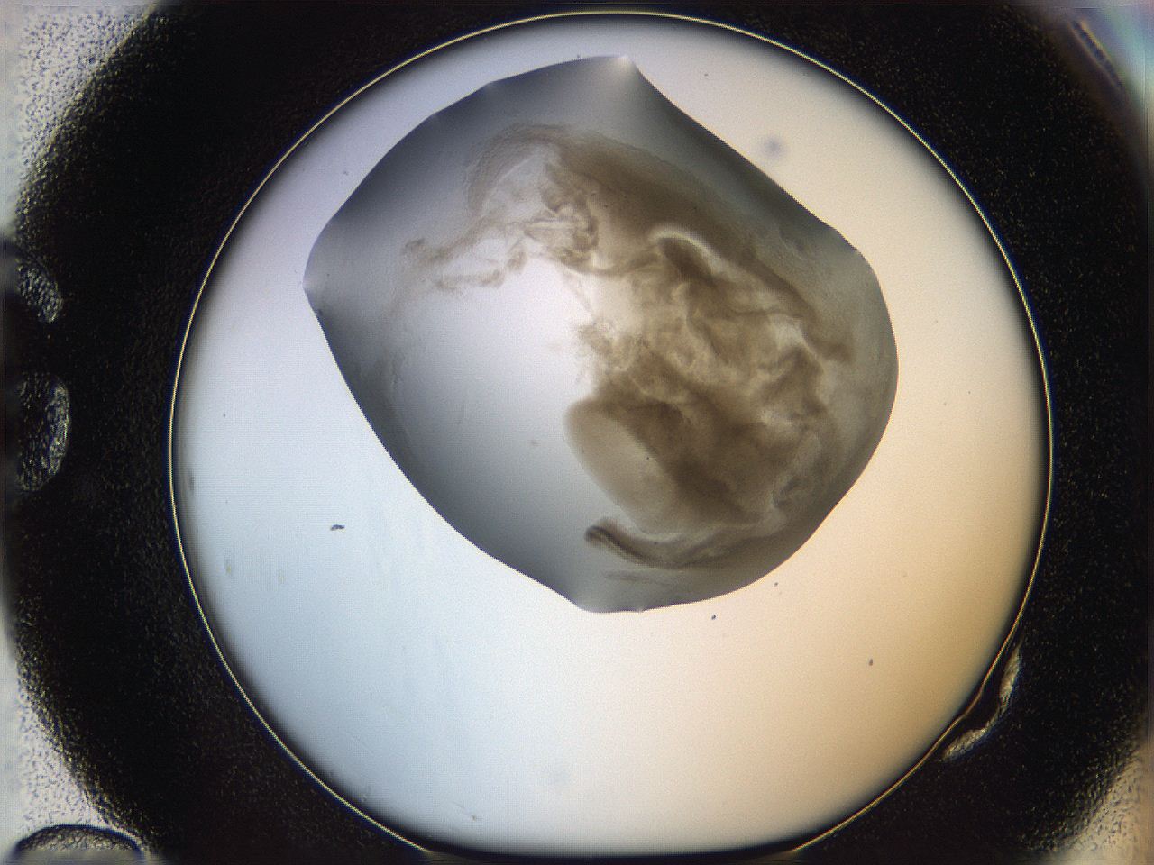06iz_G10_ImagerDefaults_3.jpg