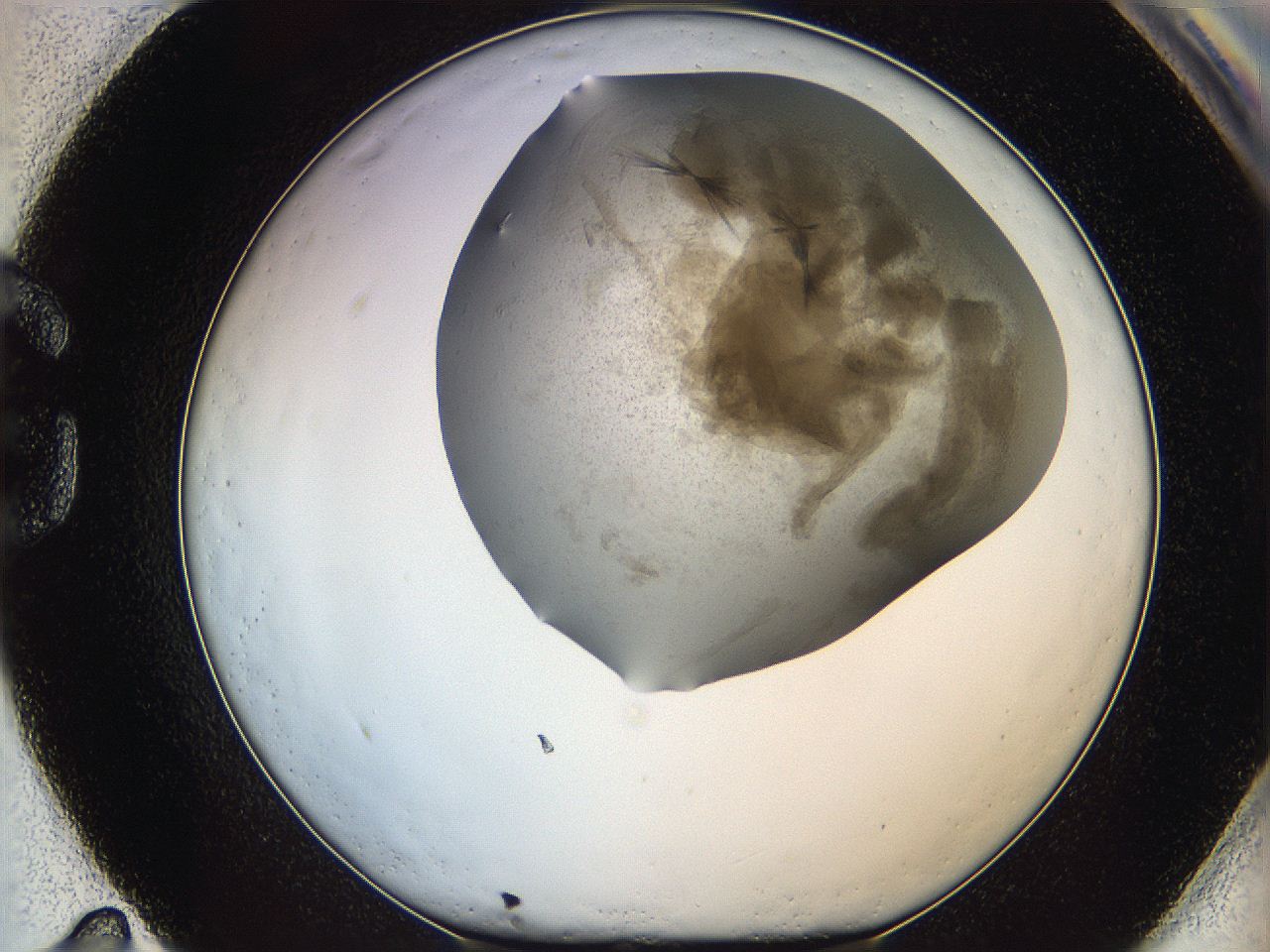 06iz_G11_ImagerDefaults_7.jpg
