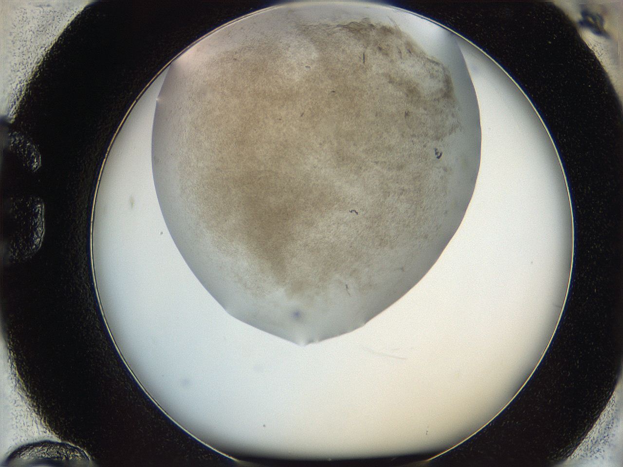 06iz_G12_ImagerDefaults_3.jpg
