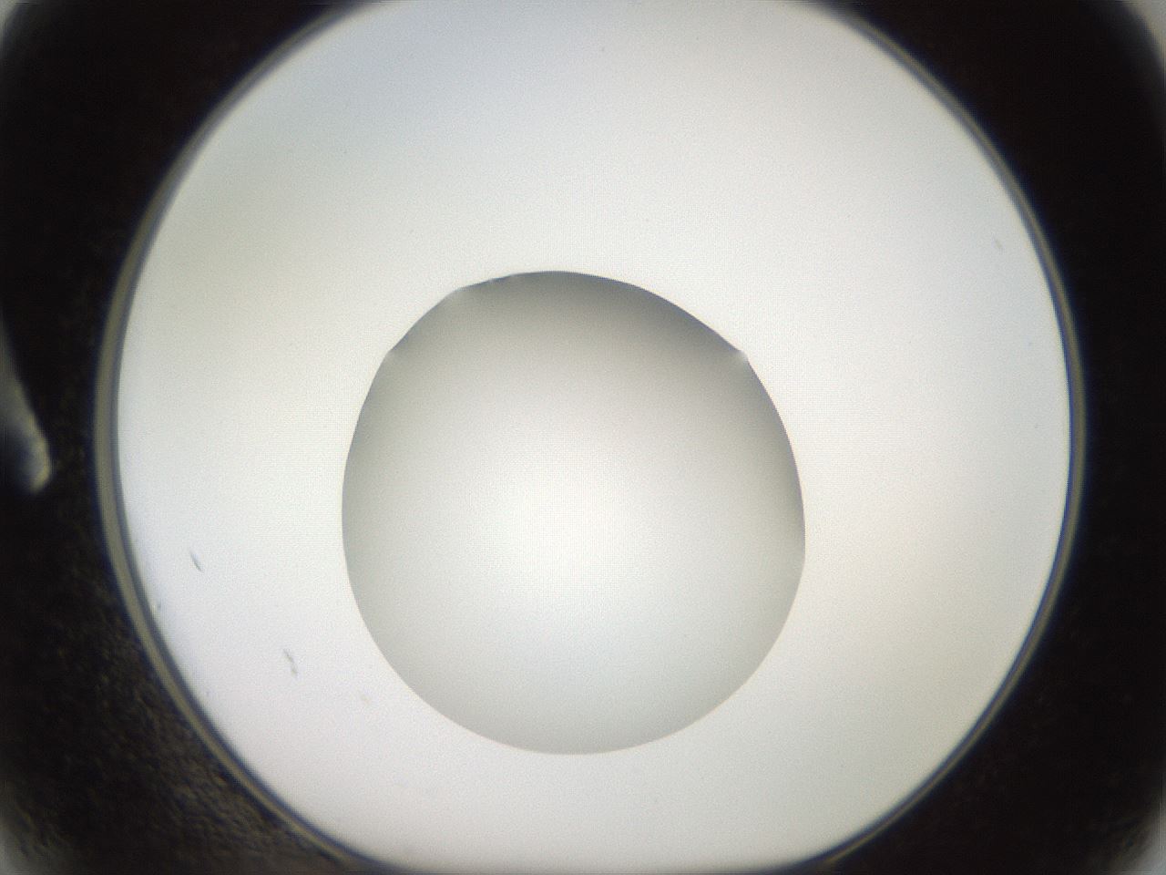 folderID619_plateID1619_batchID6747_wellNum2_profileID1_d1_r107770_ef.jpg