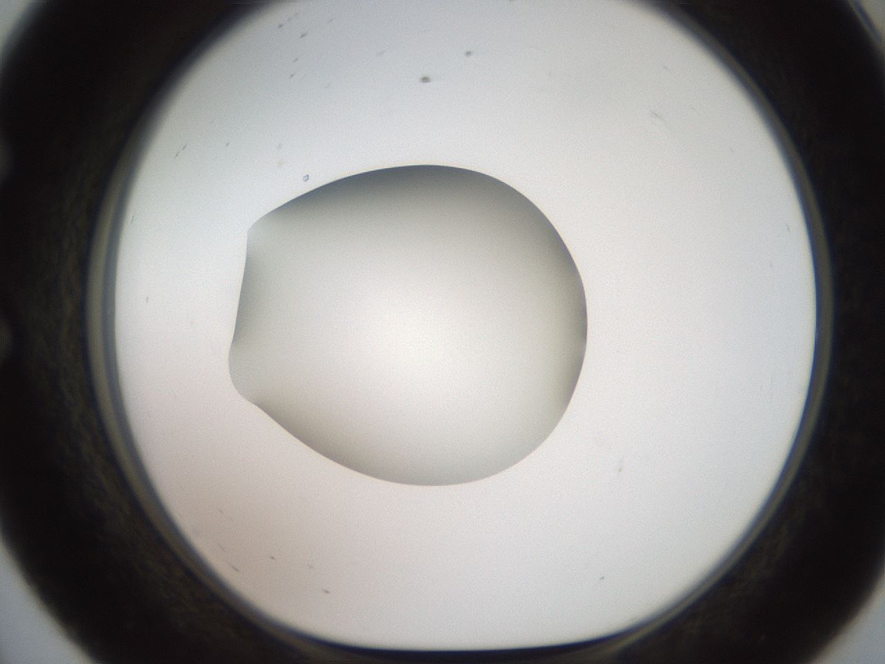 folderID620_plateID1620_batchID6748_wellNum56_profileID1_d1_r108070_ef.jpg