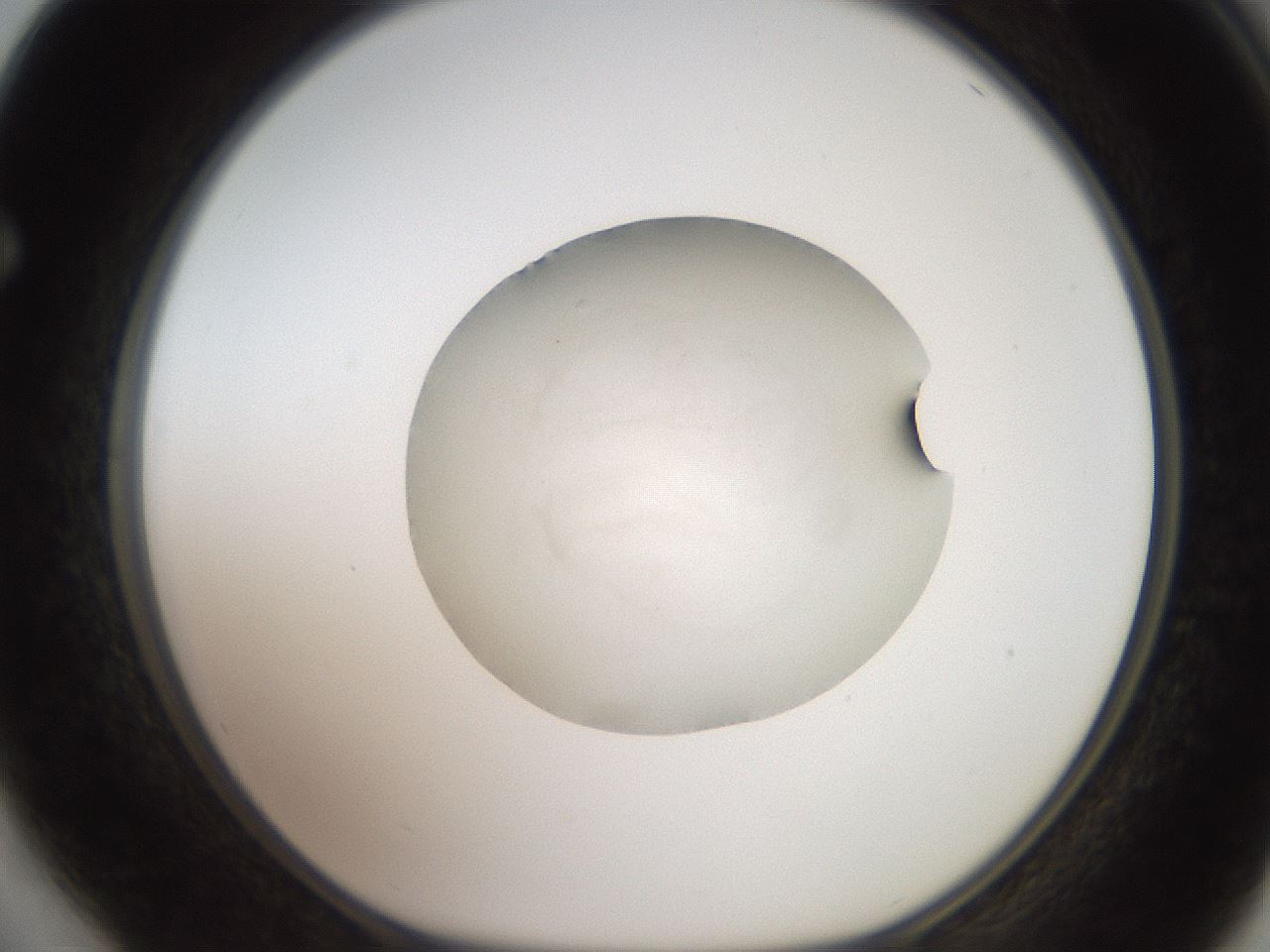 folderID620_plateID1620_batchID6748_wellNum64_profileID1_d1_r108086_ef.jpg