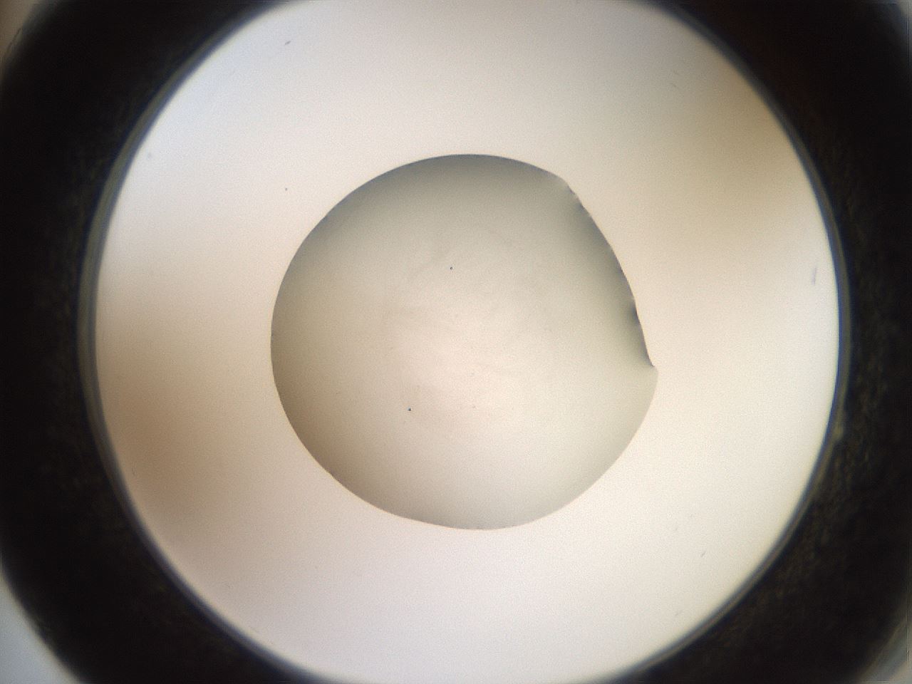 folderID620_plateID1620_batchID6748_wellNum64_profileID1_d2_r108087_ef.jpg
