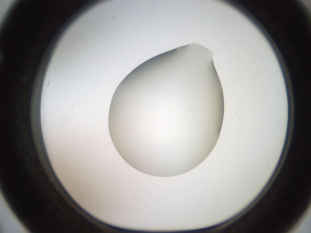 folderID620_plateID1620_batchID6748_wellNum67_profileID1_d1_r108092_ef.jpg