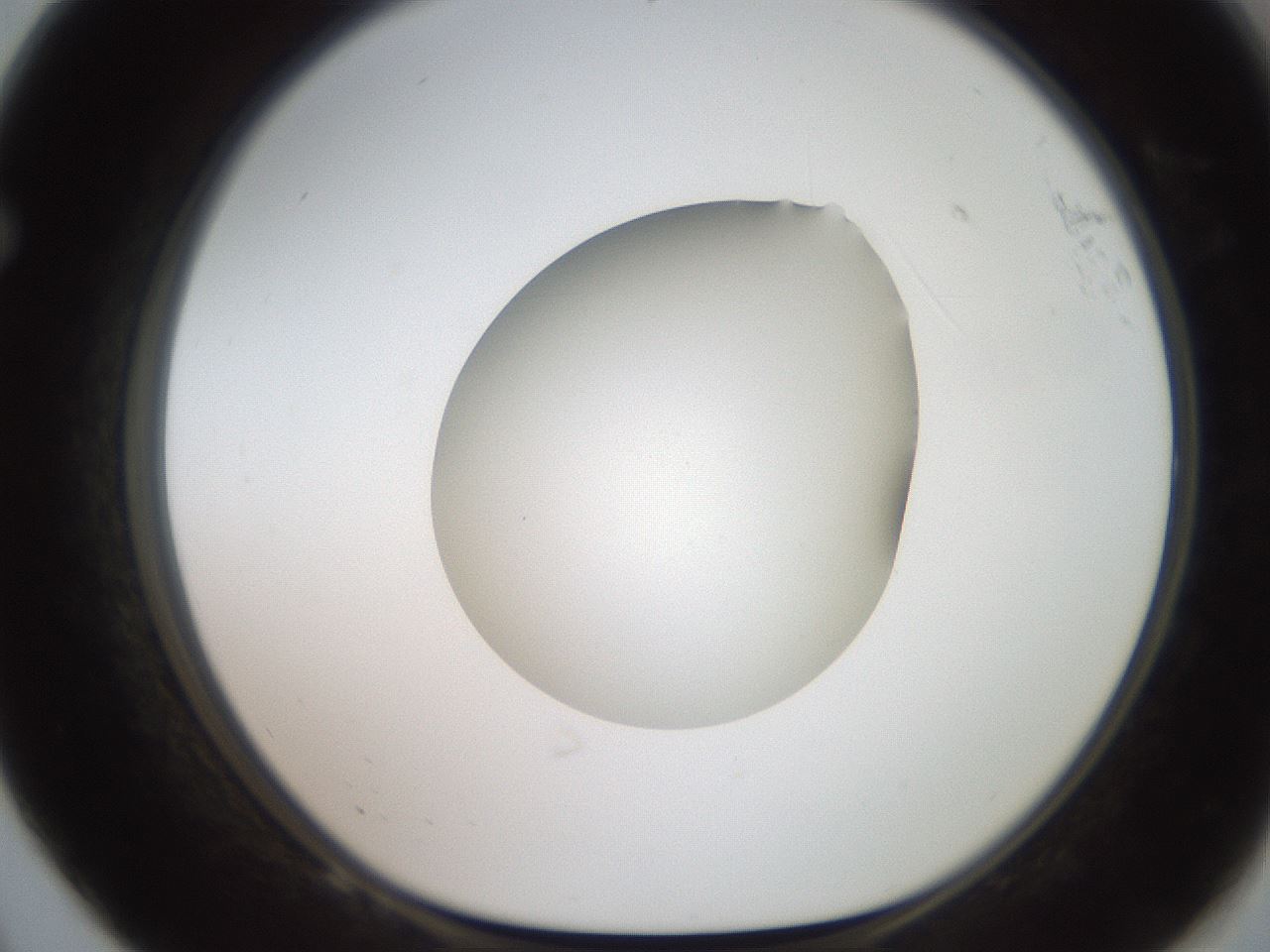 folderID620_plateID1620_batchID6748_wellNum68_profileID1_d1_r108094_ef.jpg
