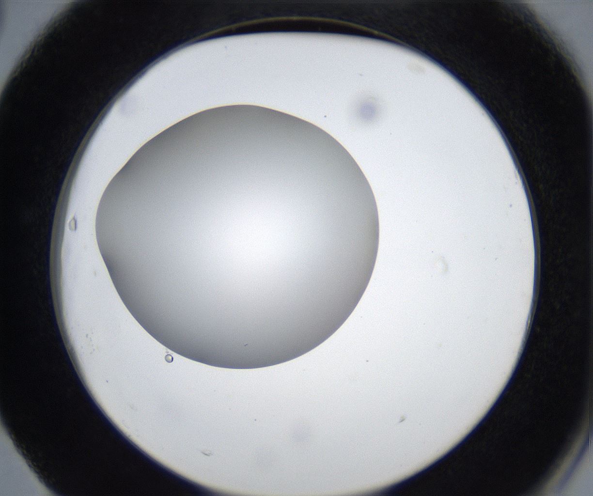 folderID623_plateID2623_batchID13250_wellNum63_profileID1_d2_r207975_ef.jpg
