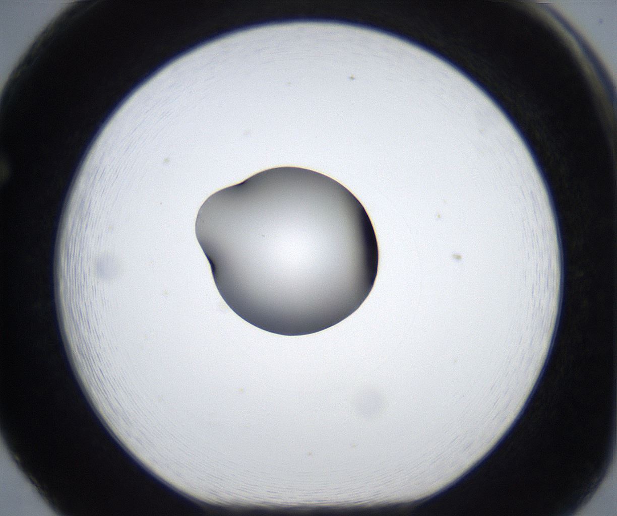 folderID623_plateID2623_batchID13250_wellNum65_profileID1_d1_r207978_ef.jpg