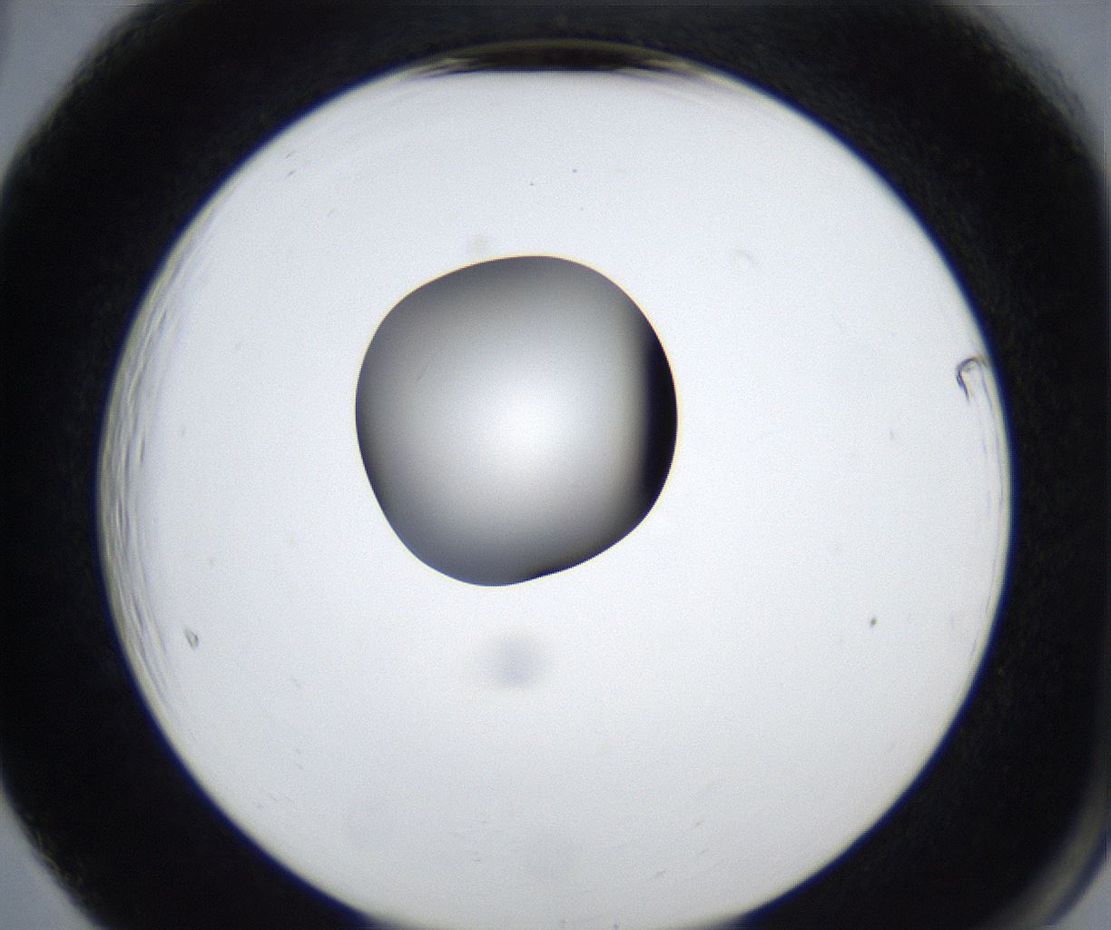 folderID623_plateID2623_batchID13250_wellNum65_profileID1_d2_r207979_ef.jpg