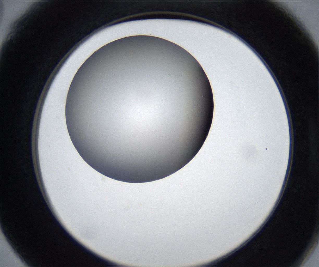 folderID623_plateID2623_batchID13250_wellNum66_profileID1_d2_r207981_ef.jpg