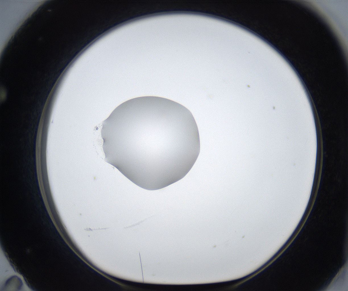 folderID623_plateID2623_batchID13250_wellNum71_profileID1_d1_r207990_ef.jpg