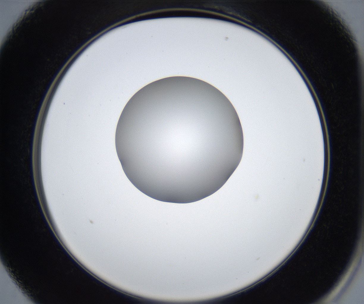 folderID625_plateID2625_batchID13252_wellNum13_profileID1_d2_r208259_ef.jpg