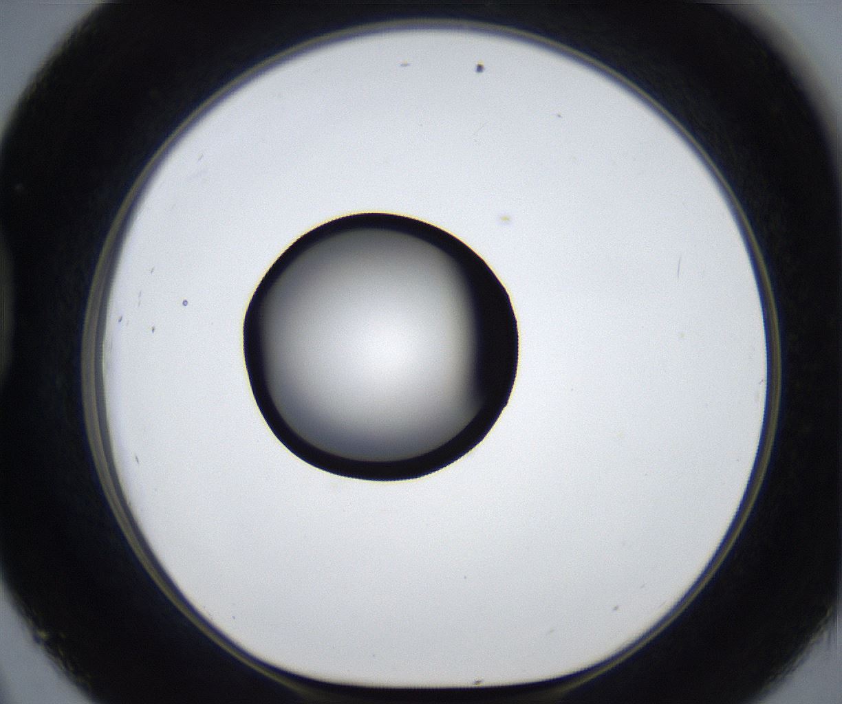 folderID625_plateID2625_batchID13252_wellNum45_profileID1_d1_r208322_ef.jpg