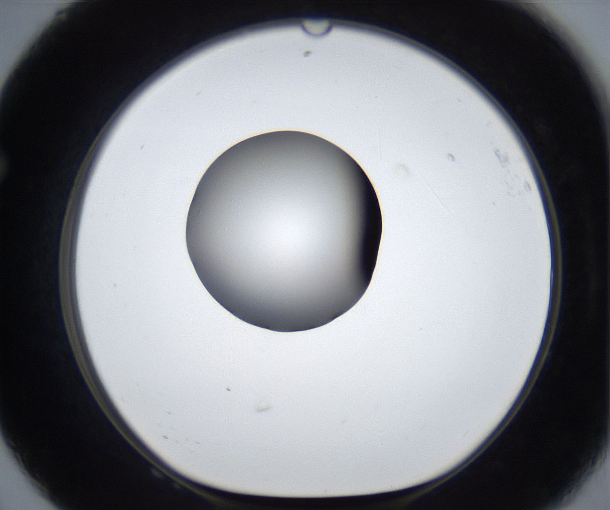 folderID625_plateID2625_batchID13252_wellNum68_profileID1_d1_r208368_ef.jpg