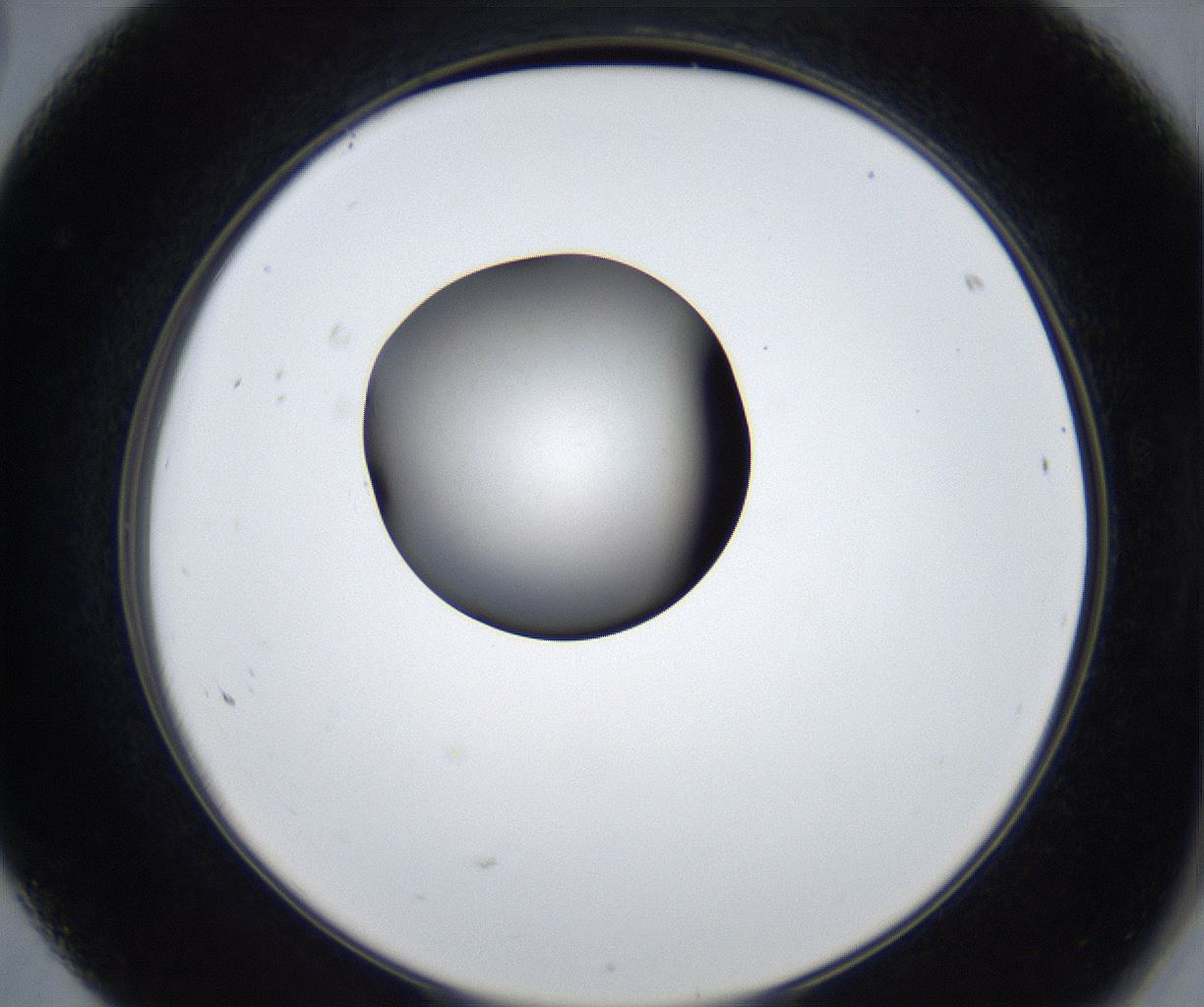 folderID625_plateID2625_batchID13252_wellNum68_profileID1_d2_r208369_ef.jpg