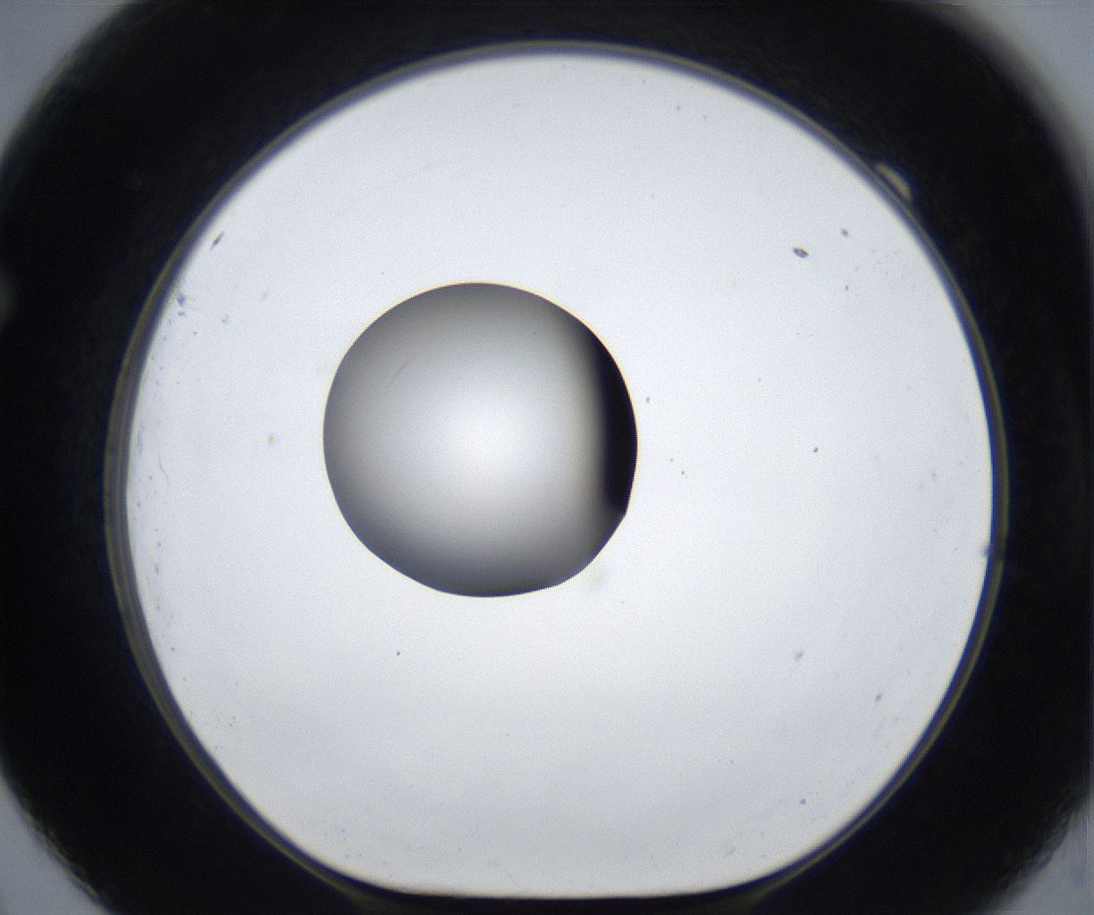 folderID625_plateID2625_batchID13252_wellNum69_profileID1_d1_r208370_ef.jpg