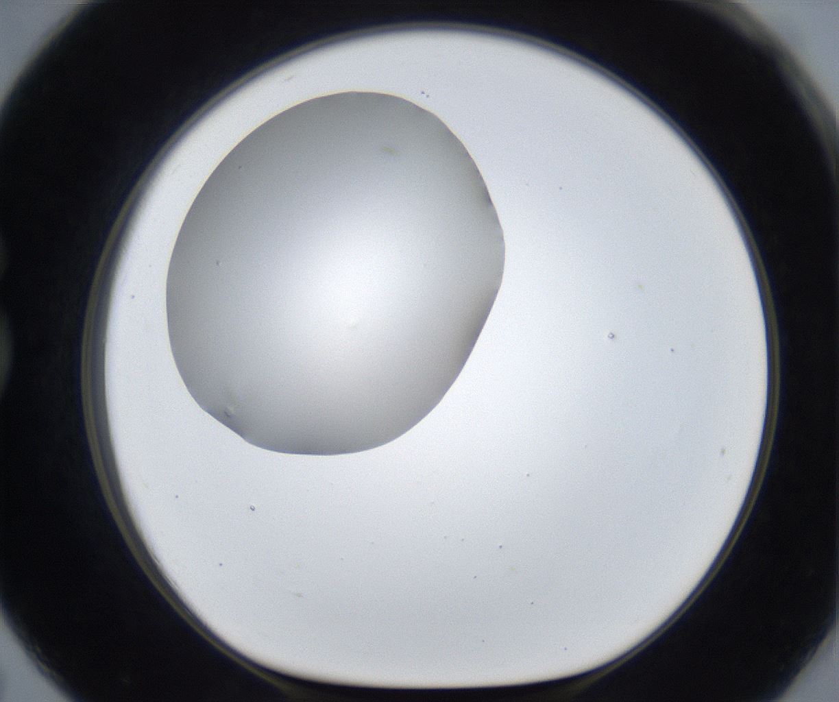 folderID625_plateID2625_batchID13252_wellNum79_profileID1_d1_r208390_ef.jpg