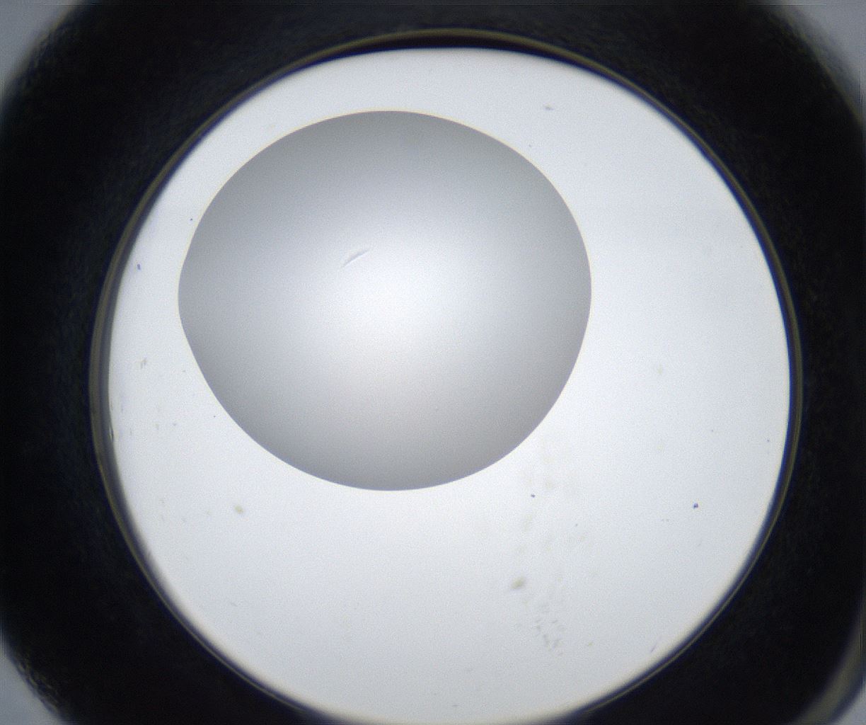 folderID625_plateID2625_batchID13252_wellNum79_profileID1_d2_r208391_ef.jpg