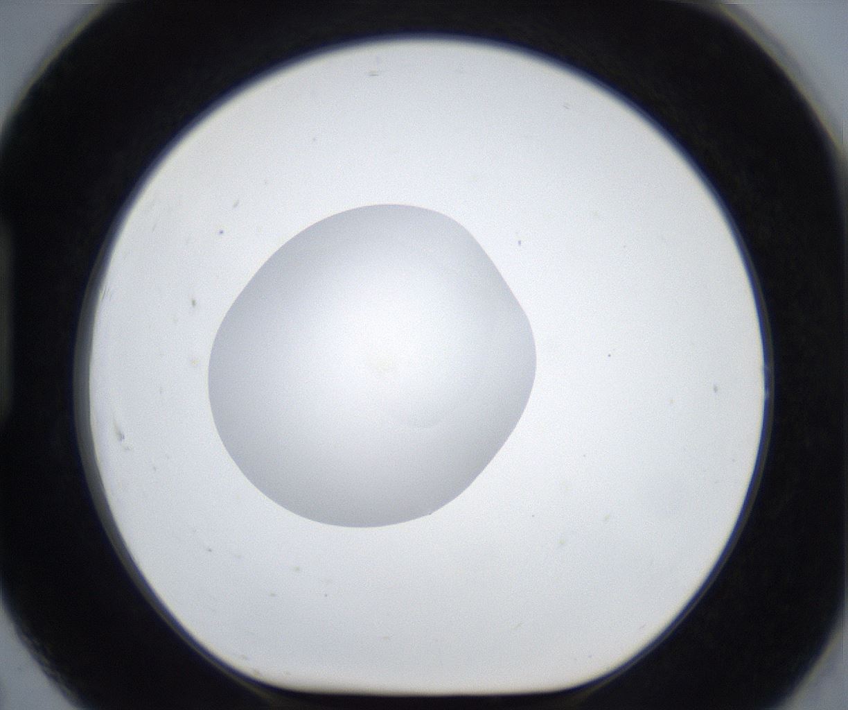 folderID625_plateID2625_batchID13252_wellNum91_profileID1_d1_r208414_ef.jpg