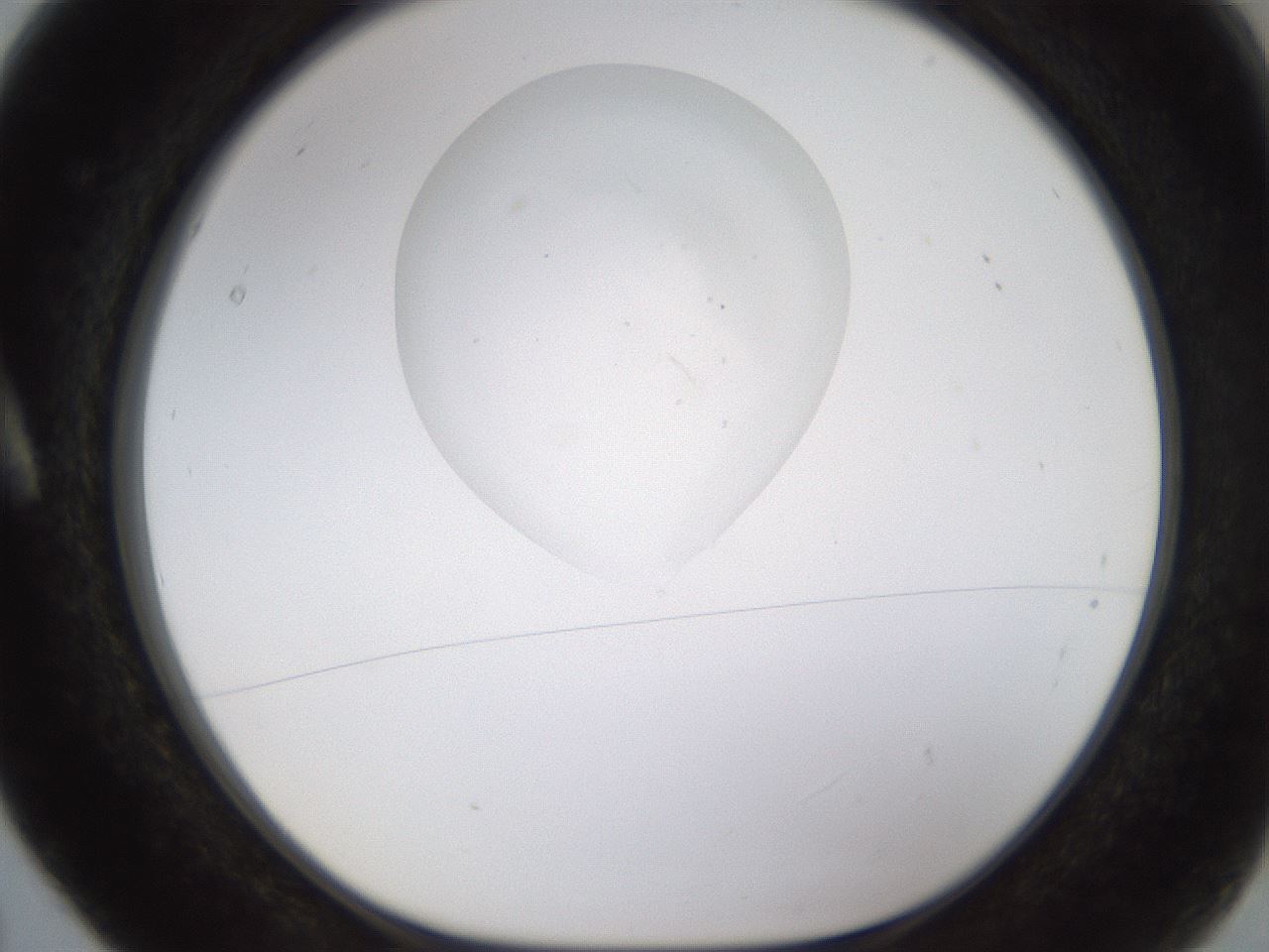 folderID626_plateID1626_batchID6792_wellNum5_profileID1_d1_r108924_ef.jpg