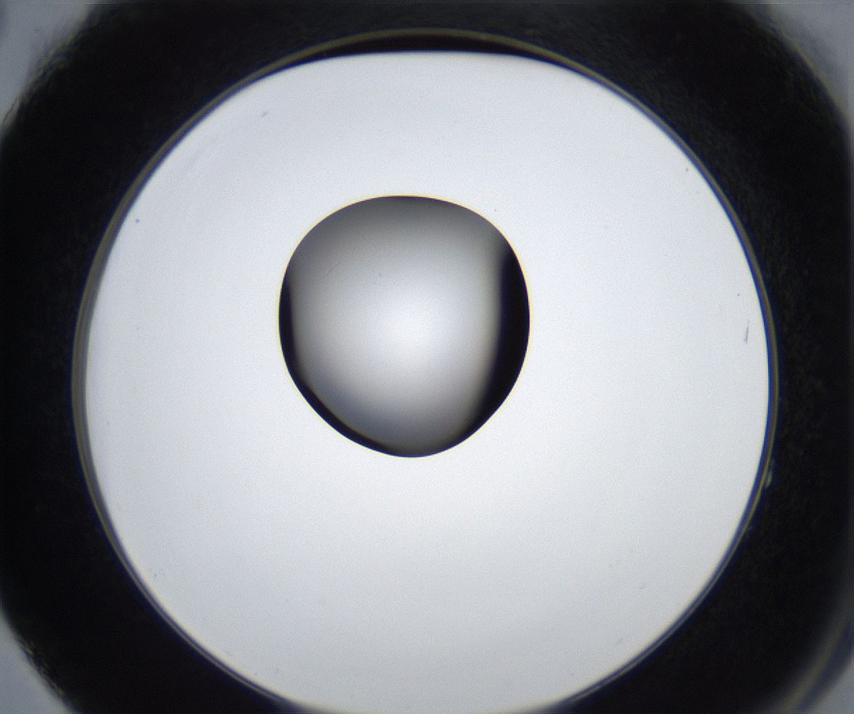folderID625_plateID2625_batchID13252_wellNum64_profileID1_d2_r208361_ef.jpg