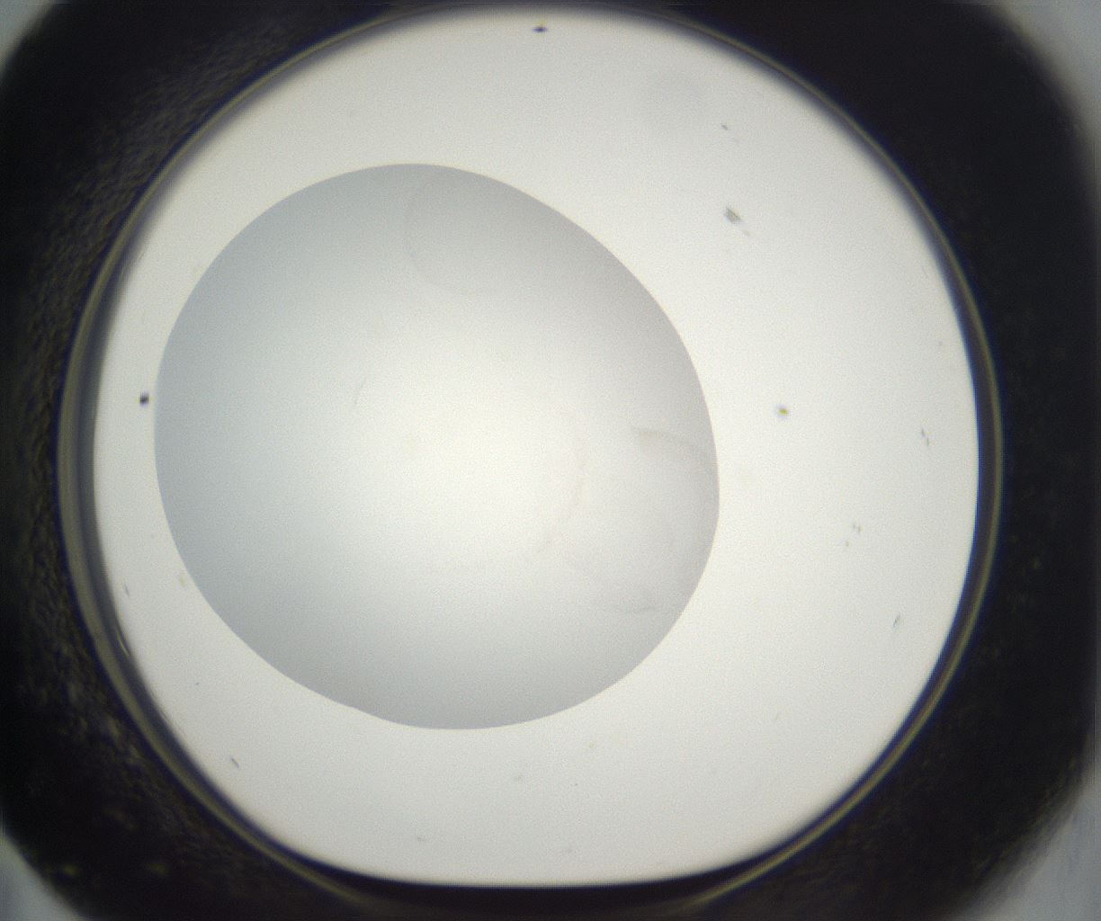 folderID626_plateID2626_batchID13257_wellNum59_profileID1_d1_r209886_ef.jpg