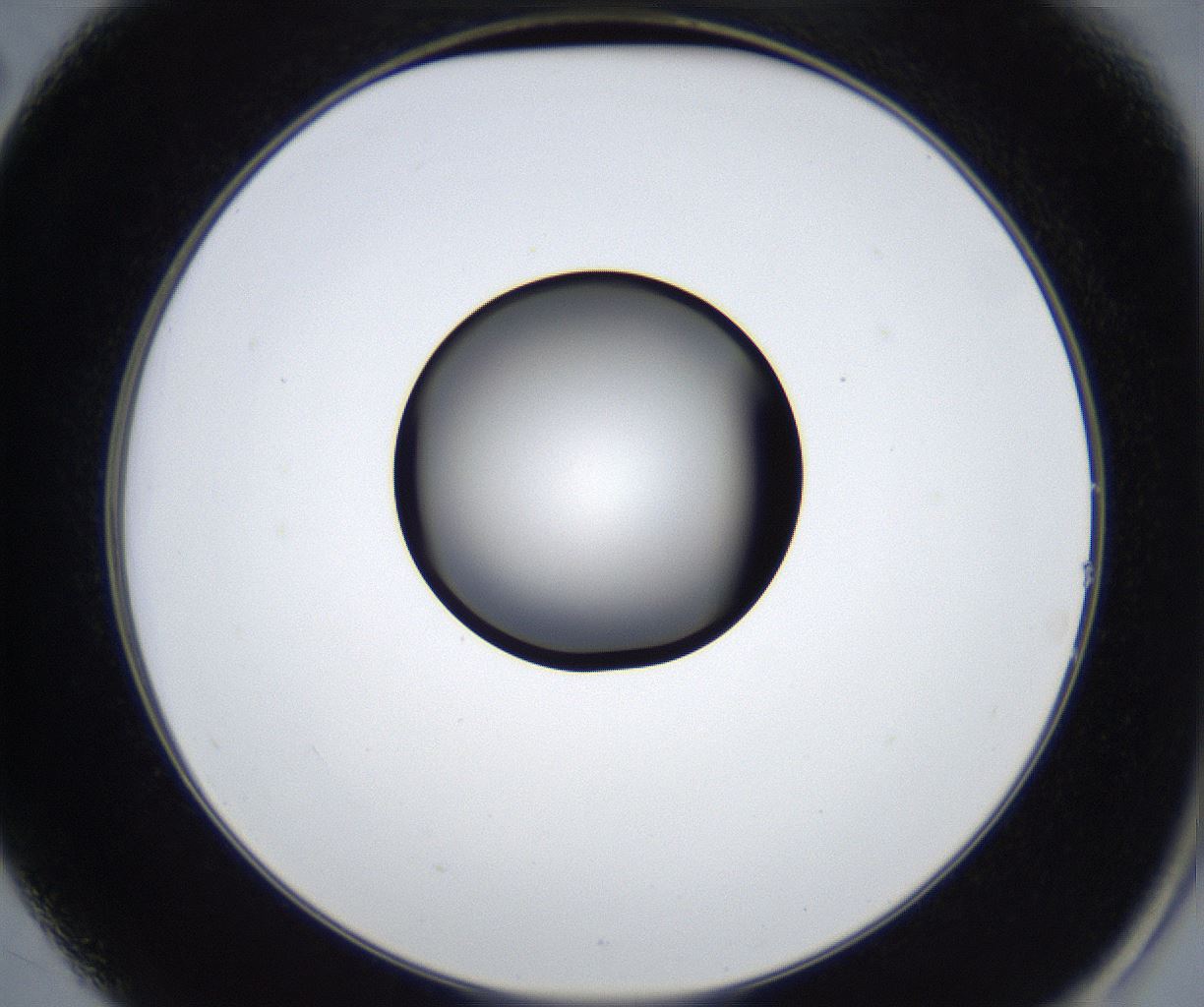 folderID627_plateID2627_batchID13256_wellNum14_profileID1_d2_r208453_ef.jpg